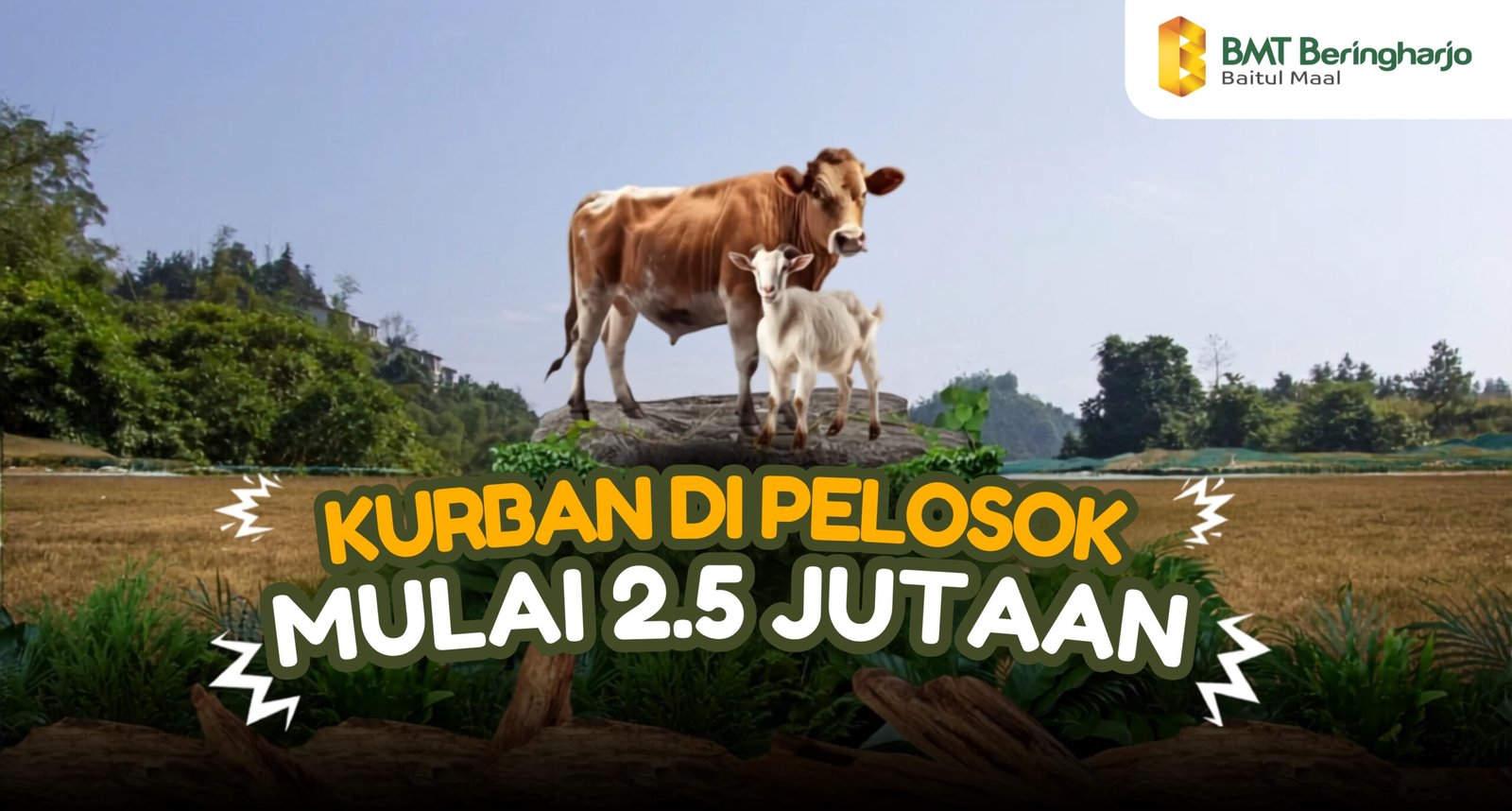 Kurbanku Dari Kota Sampai Pelosok: Ada yang Menanti Daging Kurbanmu